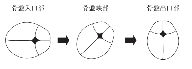 第101回 医師国家試験問題解説 (101) | 国試対策問題編集委員会